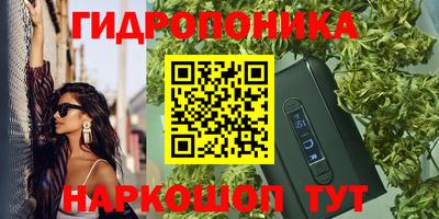 гидра Краснознаменск
