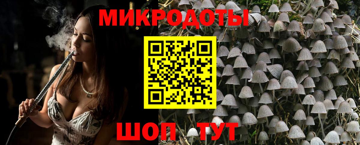 Псилоцибиновые грибы GOLDEN TEACHER Каменск-Шахтинский