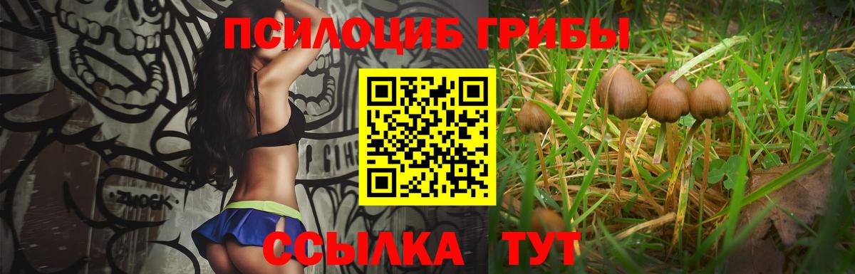 Каменск-Шахтинский  Галлюциногенные грибы Psilocybine cubensis  Галлюциногенные грибы мухоморы  Вход с VPN 